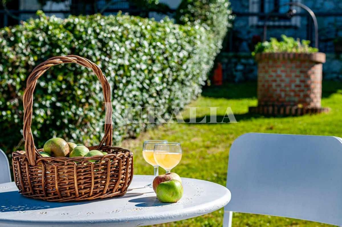 Casa Carmen 5 Situada En Una Zona Muy Tranquila A Кольера Экстерьер фото